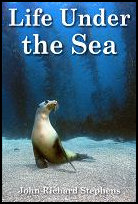Life Under the Sea Life Under the Sea