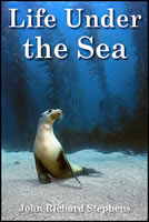 Life Under the Sea Life Under the Sea title=